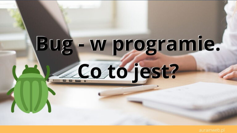 Bug​ - w programie. Co to jest? Błędy w programach i aplikacjach