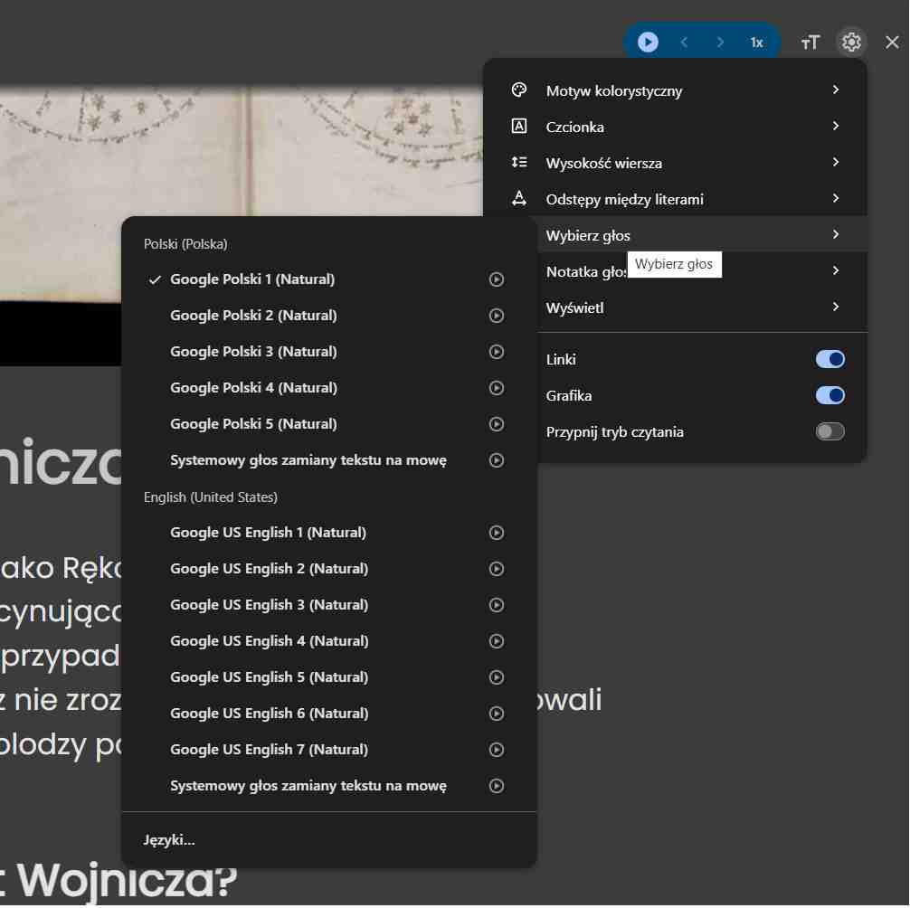 opcje dostępne w trybie czytania Google Chrome